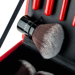 SHANY Vanity Vox 15 Piece Premium Cosmetics Brush Set with Stylish Storage Box and Stand, Red